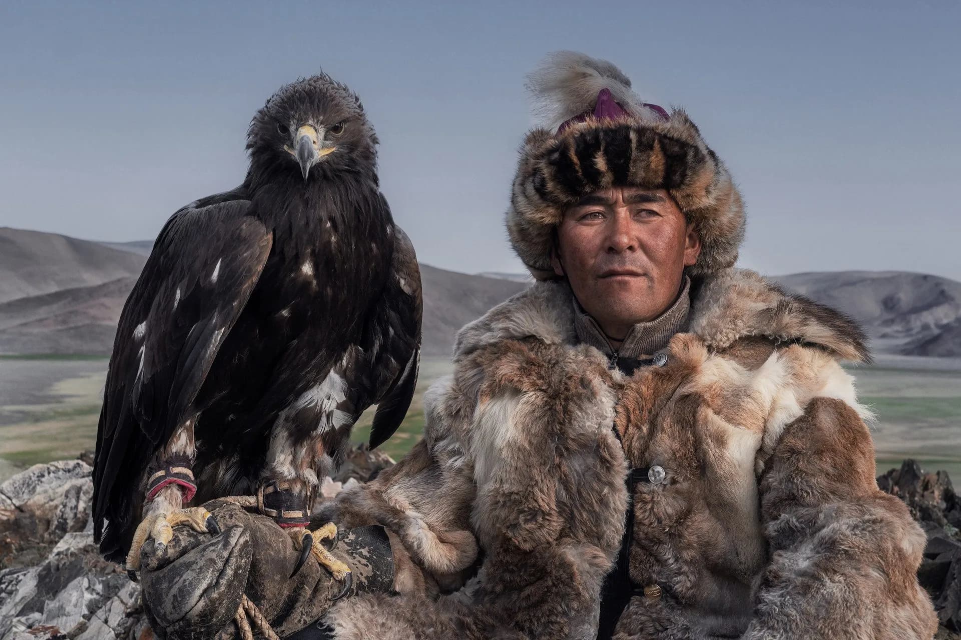 Kazakh eagle hunter holding a golden eagle in western Mongolia
