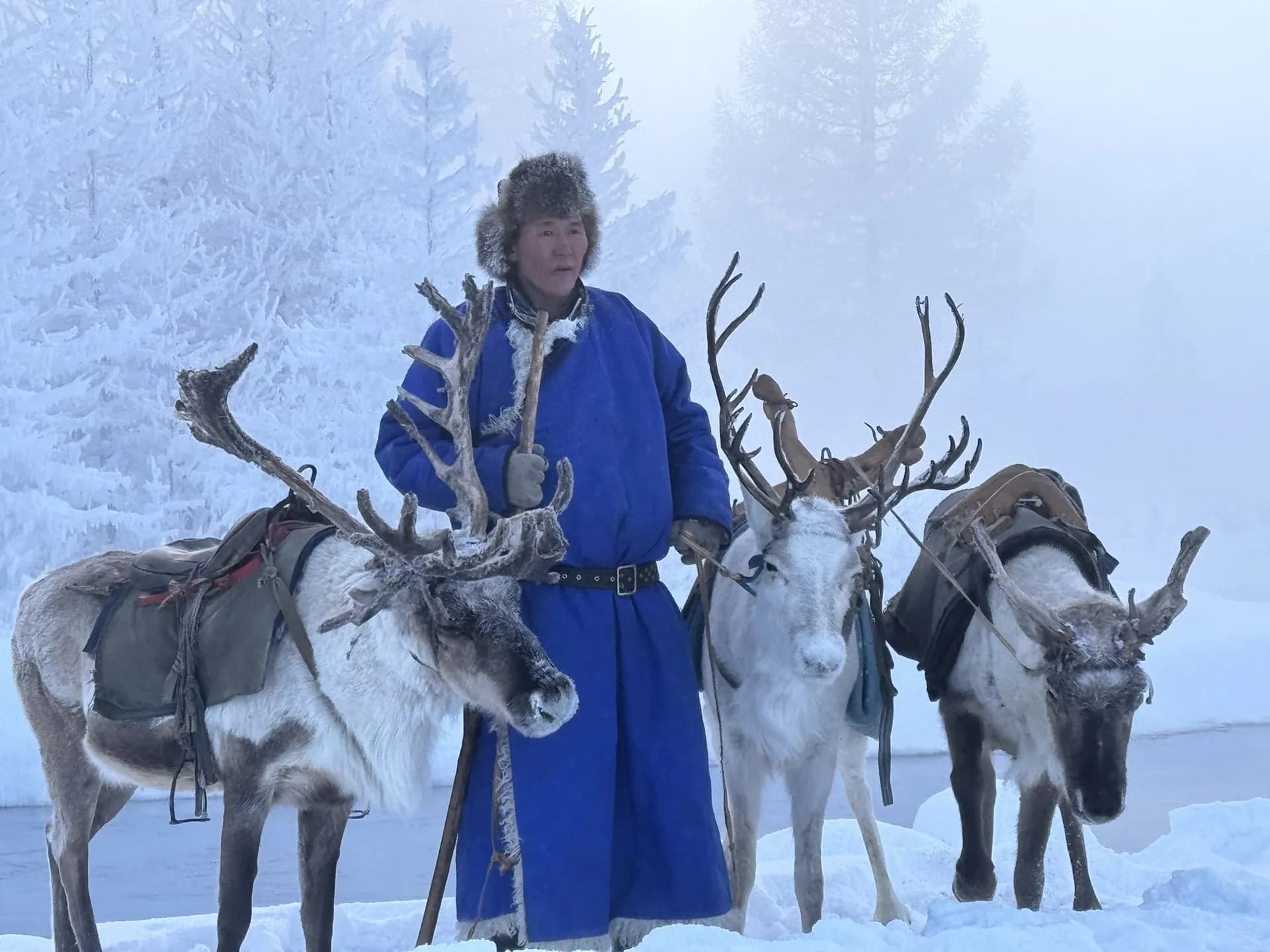 Mongolia Winter Tours: What Winter Travel in Mongolia Is Really Like