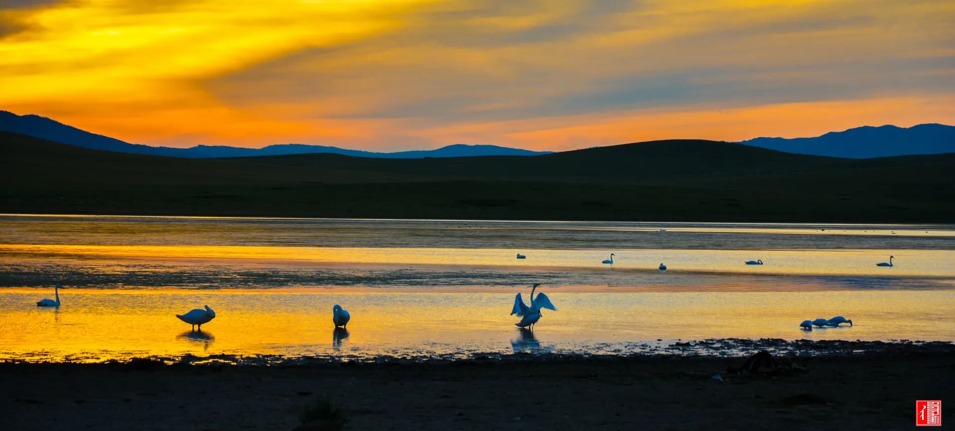 Mongolia Tours 2027: Best Tours, Festivals & Travel Experiences