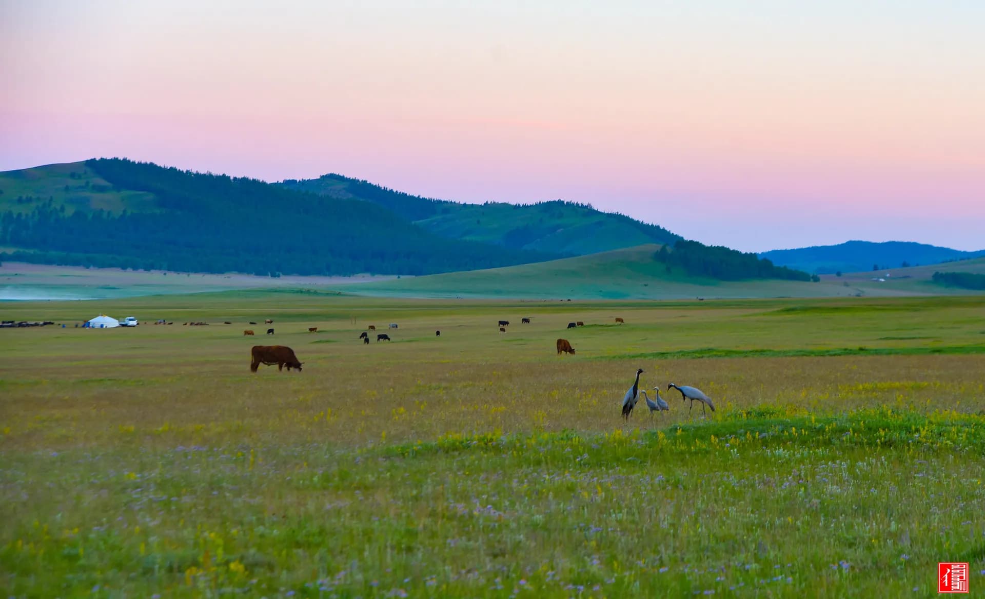 How to Travel to Mongolia from Canada in 2027–2028
