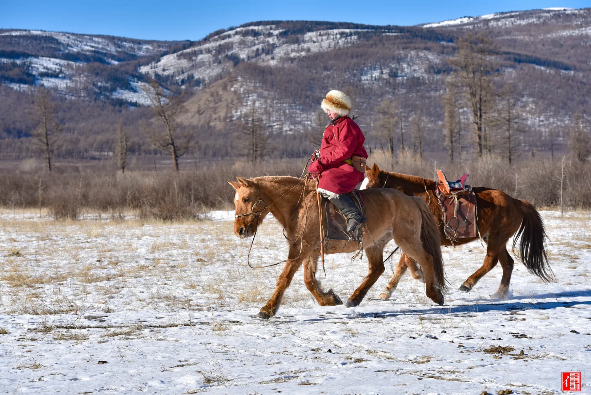 How to Travel to Mongolia from Australia in 2027–2028