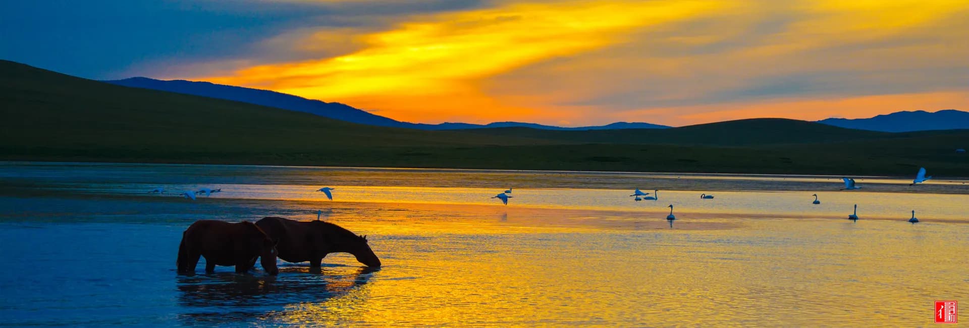How to Travel to Mongolia from the UK in 2027–2028