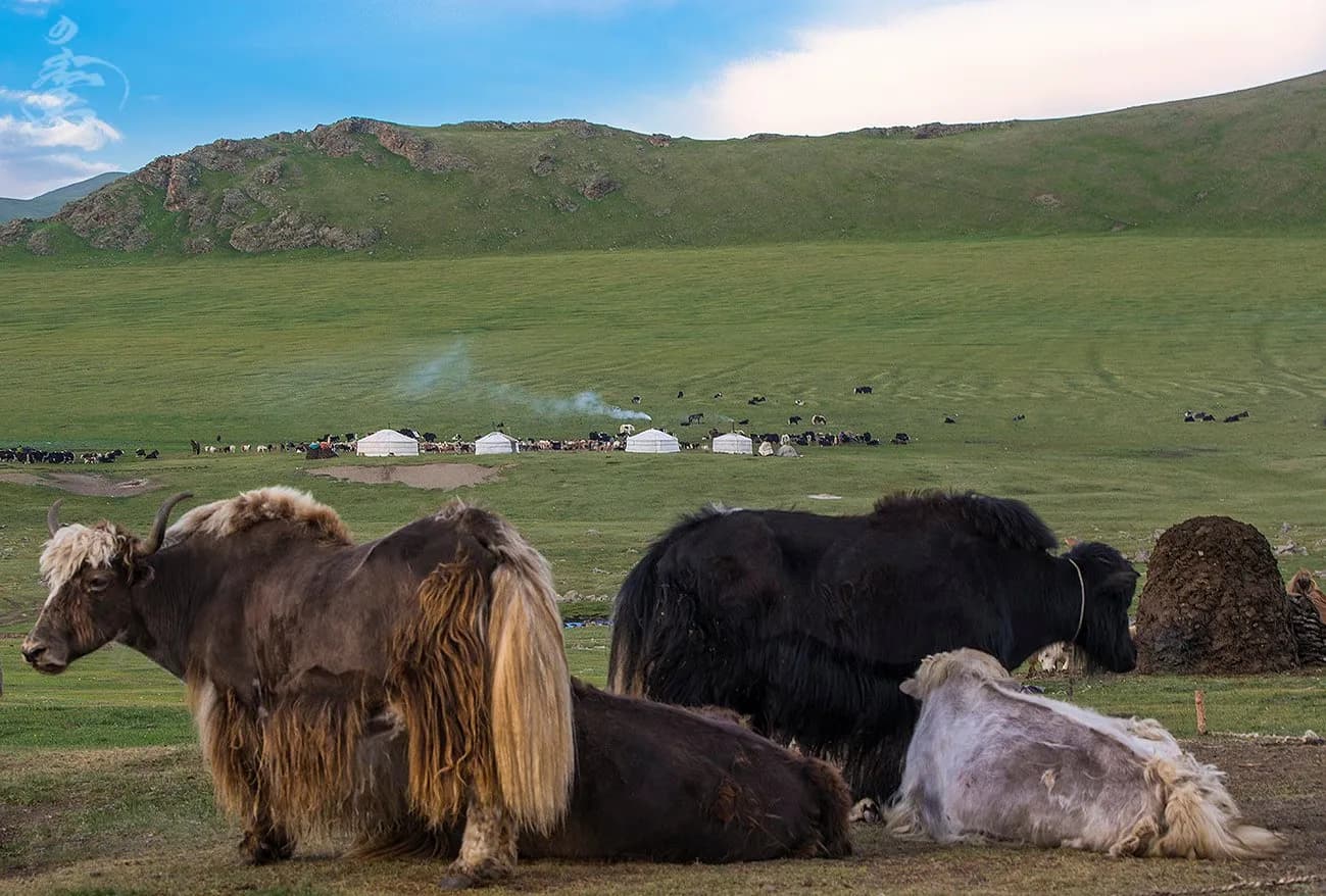 Mongolia Tours from France 2027–2028: Flights, Culture & Travel Guide