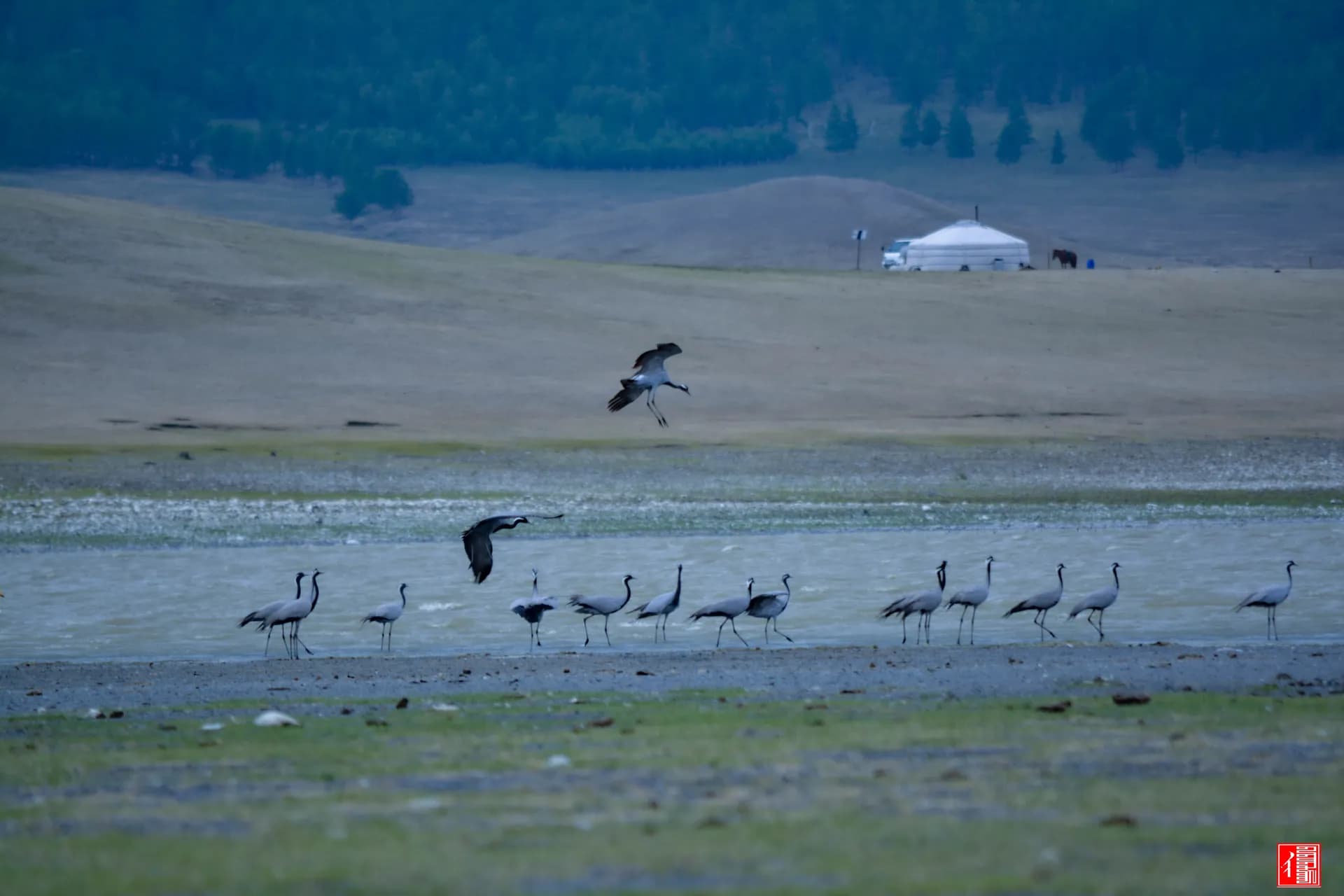 Mongolia Tours from Italy 2027–2028: Flights & Slow Travel Guide