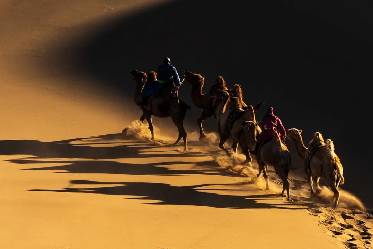 Thousand Camel Festival & Winter Gobi Expedition — Mongolia tour