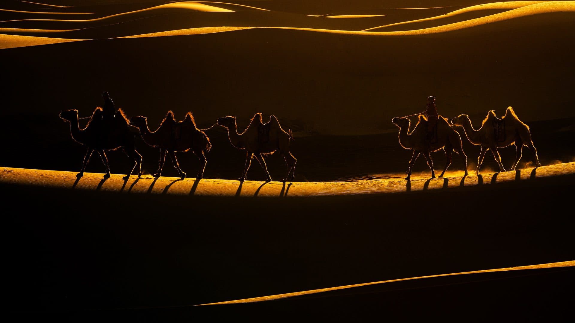 Mongolia Photography Expedition — Khuvsgul Lake, Gobi desert, Mongolia