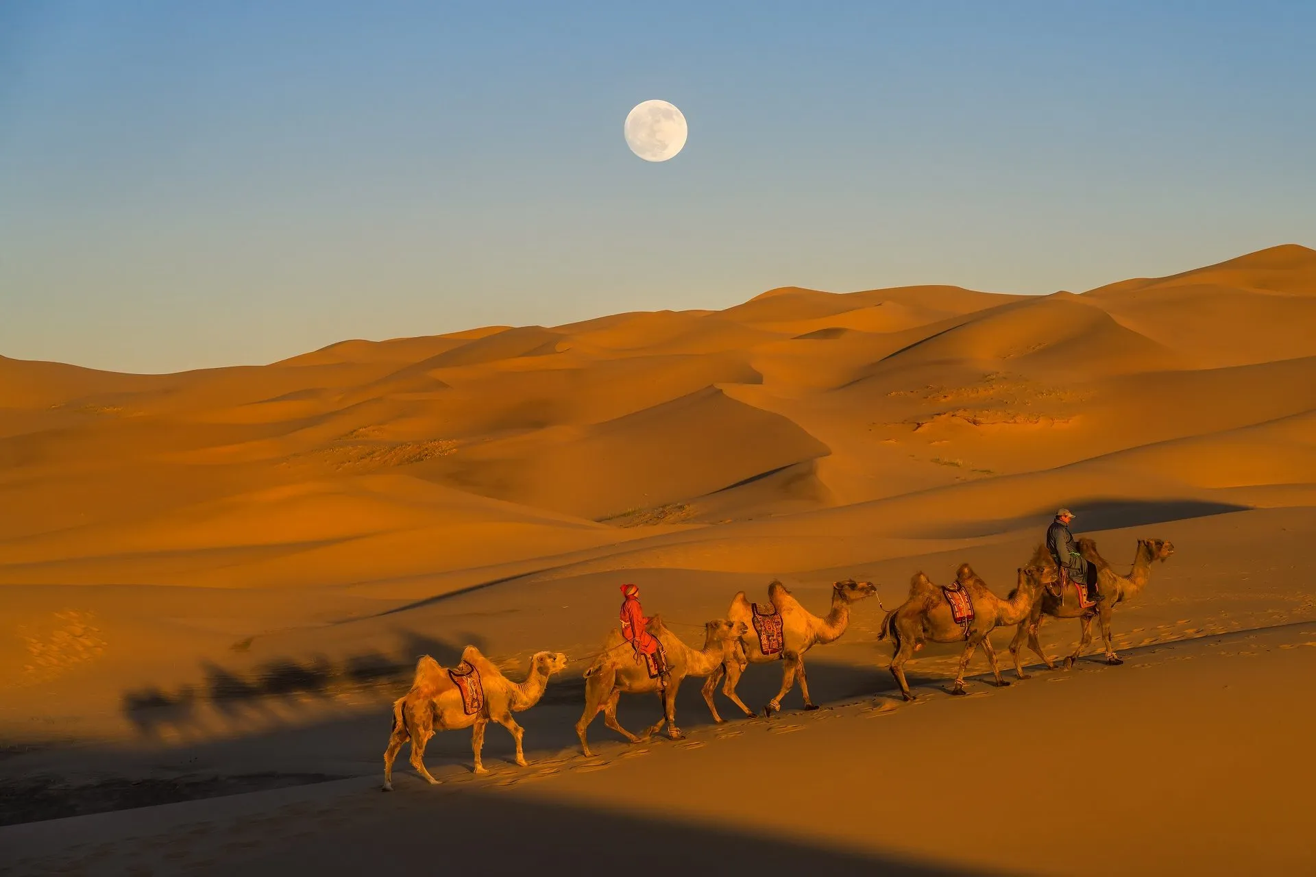 Classic Gobi Desert Adventure – 9 Days — Gobi desert, Mongolia