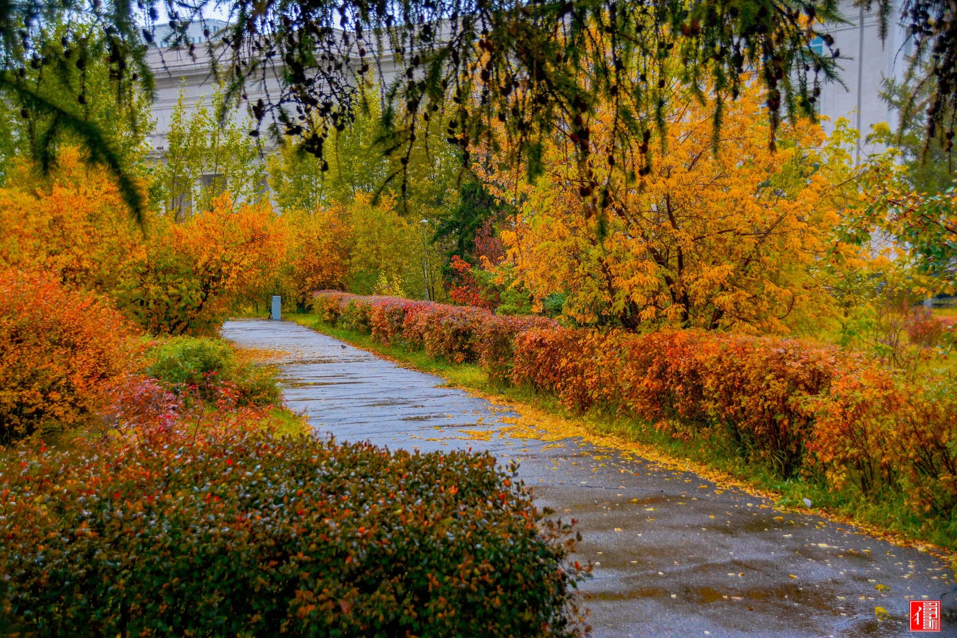 Mongolia Autumn Tour – Gobi Desert & Orkhon Valley — Gobi Desert, Orkhon valley, Mongolia
