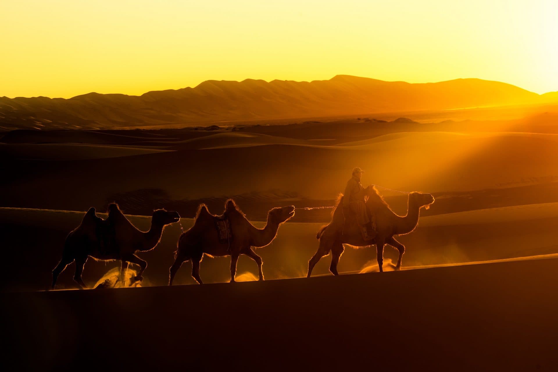 Golden Voyage Tour — Mongolia tour